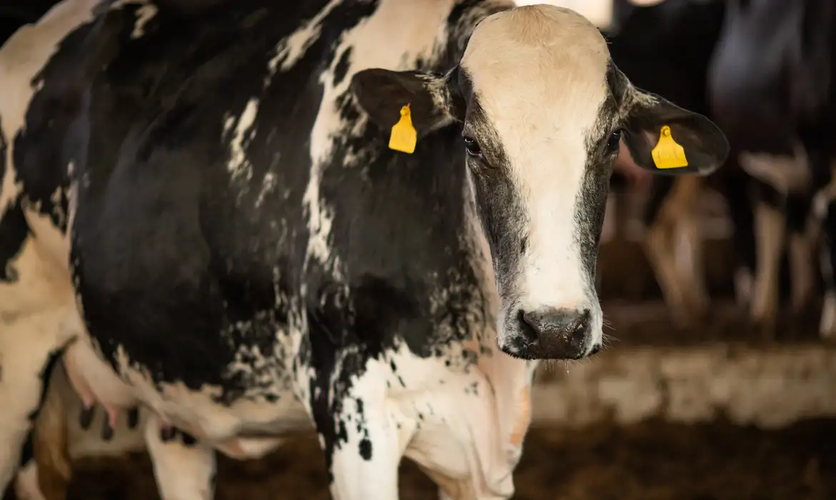 Blur background